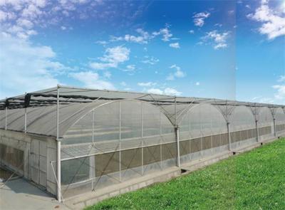 温棚展示1