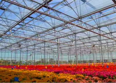 玻璃温室8