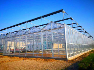 文洛式玻璃温室